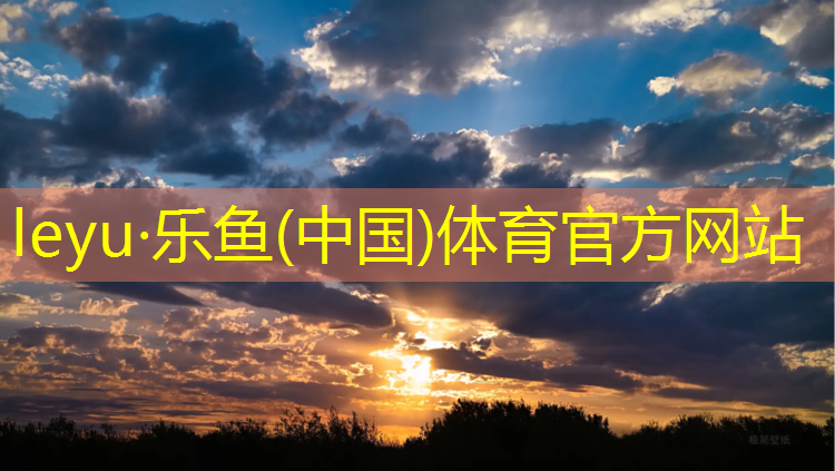 田径平衡训练器材名称